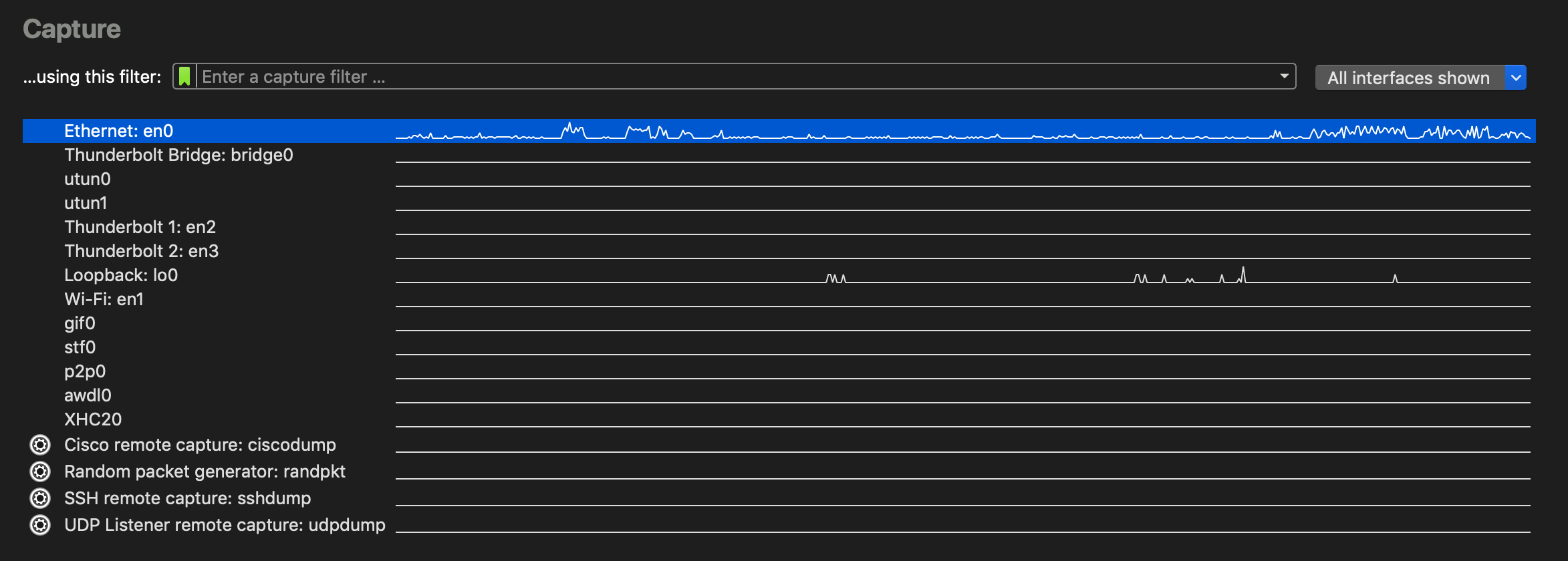 Wireshark Packet Capture Screen